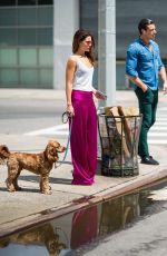 DANIELLE CAMPBELL Out with Her Dog in New York 06/26/2018