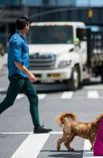 DANIELLE CAMPBELL Out with Her Dog in New York 06/26/2018