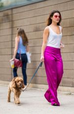 DANIELLE CAMPBELL Out with Her Dog in New York 06/26/2018