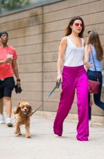 DANIELLE CAMPBELL Out with Her Dog in New York 06/26/2018