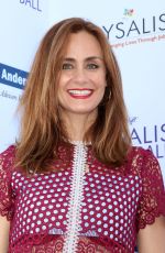 DIANE FARR at 2018 Chrysalis Butterfly Ball in Los Angeles 06/02/2018