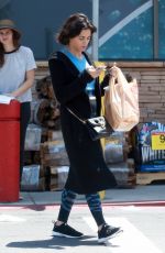 JENNA DEWAN Out Shopping in Studio City 06/07/2018