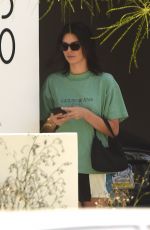 KENDALL JENNER Out in Los Angeles 06/22/2018