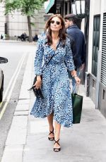 MELANIE SYKES at a Party in London 06/01/2018