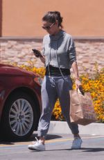 MILA KUNIS Out Shopping in Los Angeles 06/11/2018