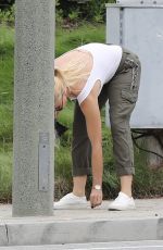 NICOLLETTE SHERIDAN Out with Her Dog in Calabasas 06/23/2018