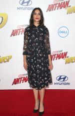NIKOHL BOOSHERI at Ant-man and the Wasp Premiere in Los Angeles 06/25/2018