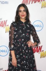 NIKOHL BOOSHERI at Ant-man and the Wasp Premiere in Los Angeles 06/25/2018