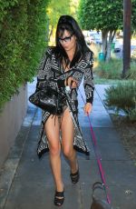 PLASTIC MARTYR Out with Her Dog in Los Angeles 06/27/2018