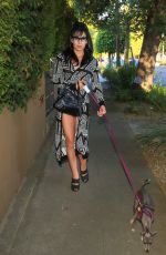 PLASTIC MARTYR Out with Her Dog in Los Angeles 06/27/2018