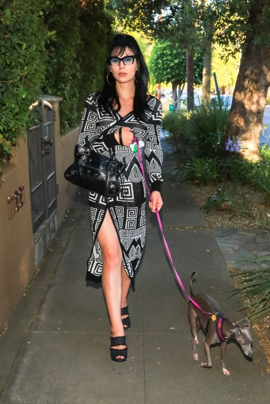 PLASTIC MARTYR Out with Her Dog in Los Angeles 06/27/2018