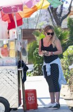 Pregnant HILARY DUFF at a Fruit Stand in Los Angeles 06/27/2018
