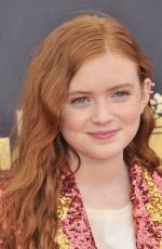SADIE SINK at 2018 MTV Movie and TV Awards in Santa Monica 06/16/2018