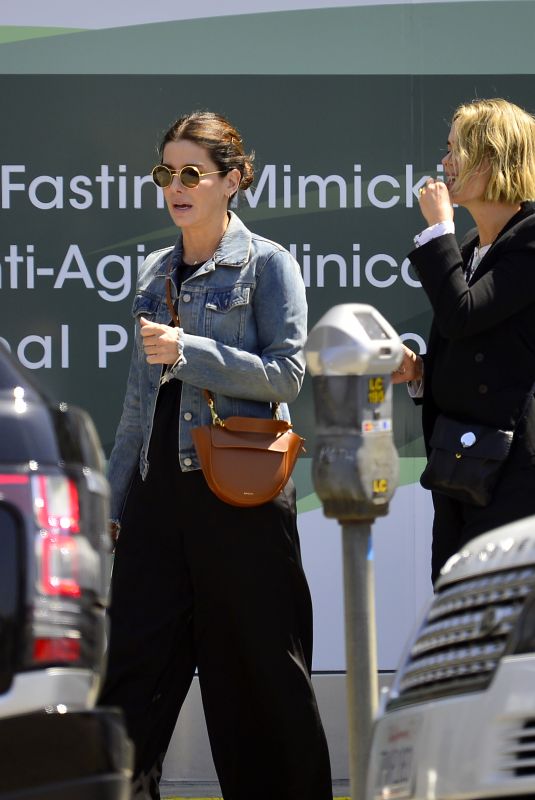 SANDRA BULLOCK and SARAH PAULSON Out in Los Angeles 06/19/2018