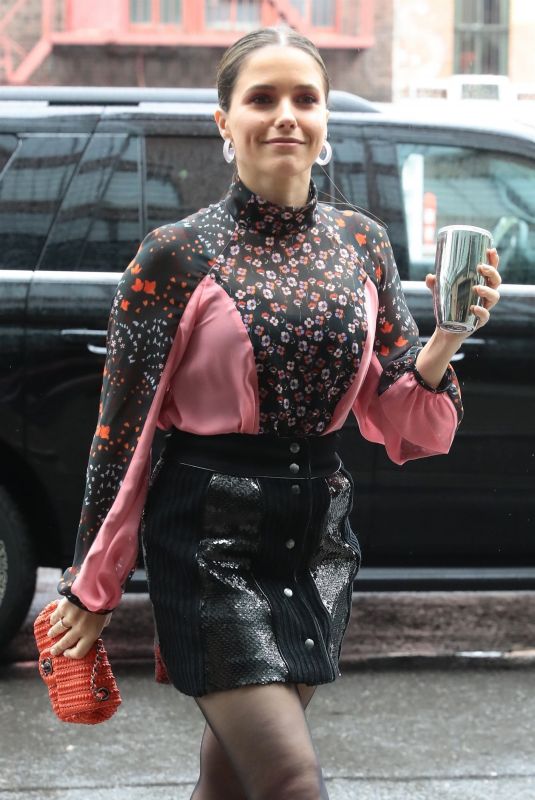 SOPHIA BUSH Arrives at Her Hotel in New York 06/13/2018