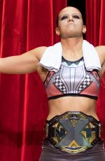 WWE NXT Live Event in Paris 06/11/2018