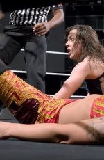 WWE - NXT Takeover: Chicago II
