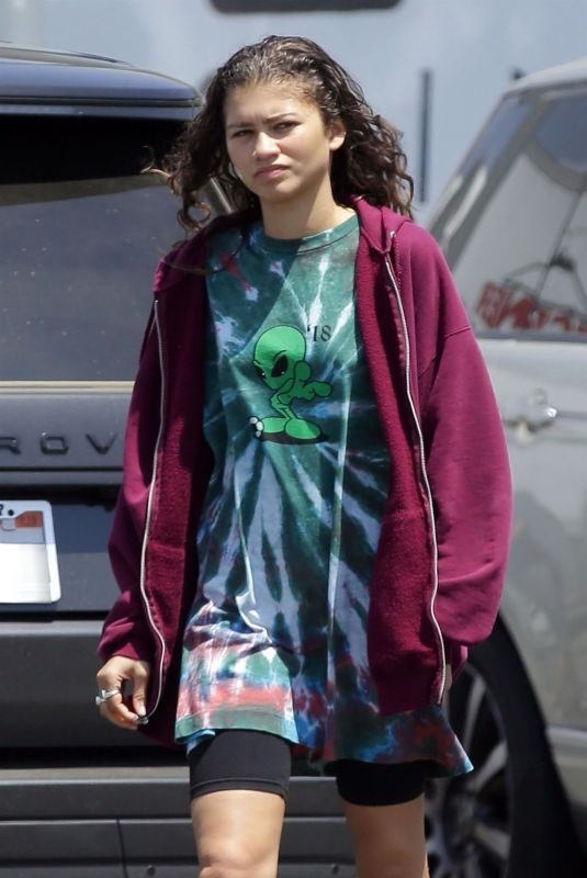 ZENDAYA COLEMAN Out and About in Los Angeles 06/06/2018