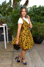 ALISON BRIE at Netflix TCA 2018 in Beverly Hills 07/29/2018