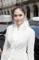 ARAYA HARGATE at Elie Saab Show at Paris Fashion Week 03/03/2018