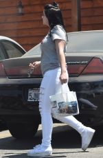 ARIEL WINTER and Levi Meaden Out with Their Dogs in Los Angeles 07/03/2018