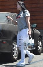 ARIEL WINTER and Levi Meaden Out with Their Dogs in Los Angeles 07/03/2018