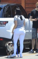 ARIEL WINTER and Levi Meaden Out with Their Dogs in Los Angeles 07/03/2018