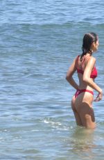 BELLA HADID in Bikini at a Beach in Malibu 07/04/2018
