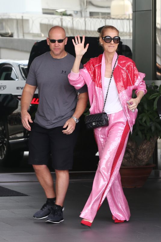 CELINE DION Arrives at Taipei Songshan Airport in Taipei 07/15/2018