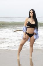 CLAUDIA ALENDE in Bikini at a Beach in Los Angeles 07/20/2018