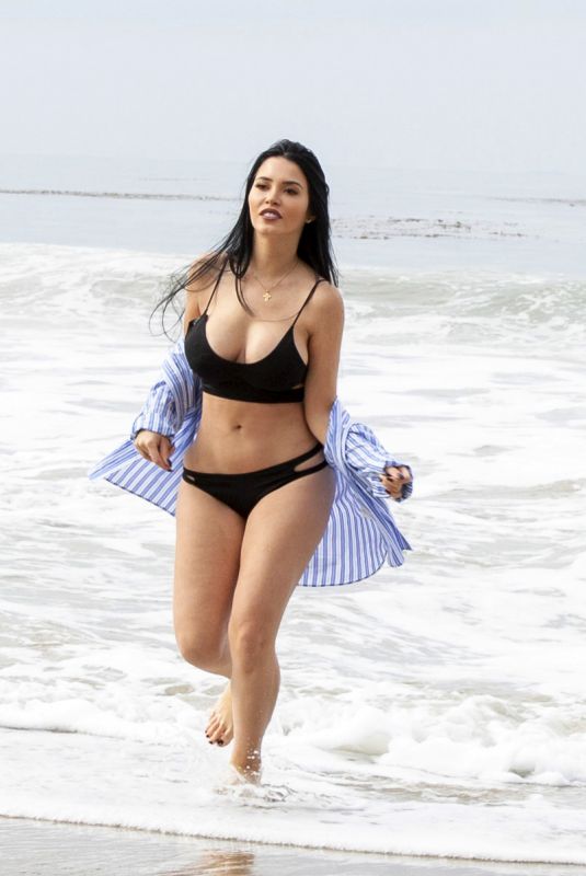CLAUDIA ALENDE in Bikini at a Beach in Los Angeles 07/20/2018