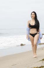 CLAUDIA ALENDE in Bikini at a Beach in Los Angeles 07/20/2018