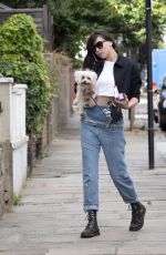 DAISY LOWE Out with Her Dog in London 07/17/2018