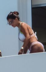 DANIELLA SEMANN in Bikini on Holiday in Mykonos 07/02/2018