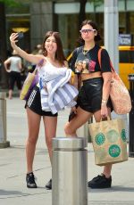 DUA and RINA LIPA at a Picnic in Central Park in New York 07/29/2018