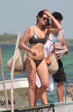 EIZA GONZALEZ in Bikini at a Beach in Mexico 07/01/2018