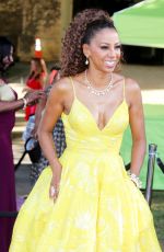 HOLLY ROBINSON PEETE at Hollyrod 20th Annual Designcare at Cross Creek Farm Event in Malibu 07/14/2018