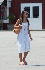 JORDANA BREWSTER Out for Iced Coffee in Los Angeles 07/17/2018