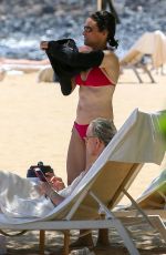JULIA LOUIS-DREYFUS in Red Bikini on the Beach in Lanai 07/10/2018