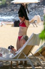 JULIA LOUIS-DREYFUS in Red Bikini on the Beach in Lanai 07/10/2018