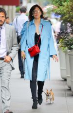 KATHARINE MCPHEE Out with Her Dog in New York 07/27/2018