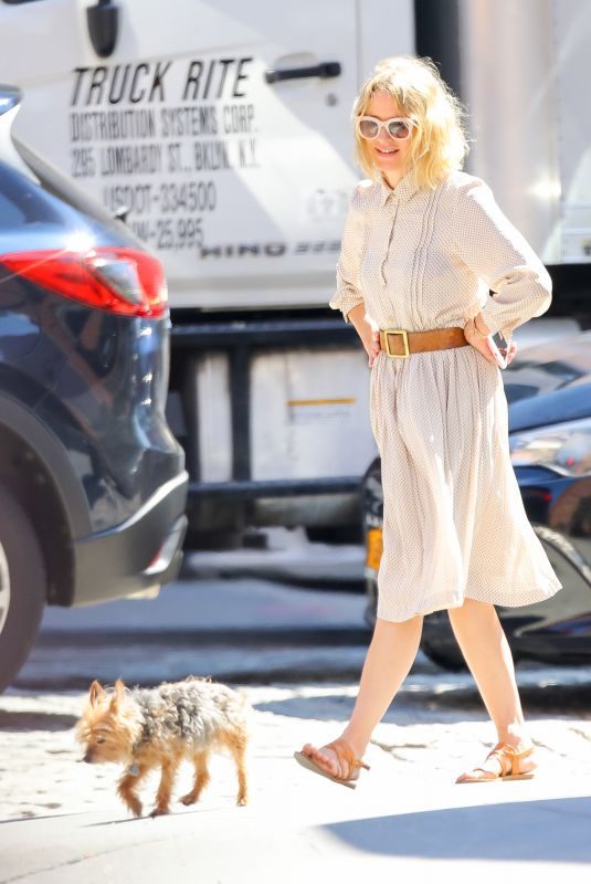 NAOMI WATTS Out with Her Dog in New York 07/20/2018