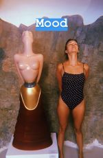 NINA DOBREV on Vacation in Mykonos, 07/28/2018 Instagram Pictures