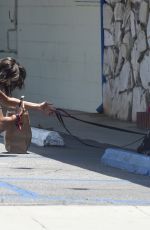NINA DOBREV Out with Her Dog in Los Angeles 07/01/2018
