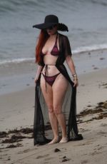 PHOEBE PRICE in Bikini on the Beach in Malibu 07/18/2018