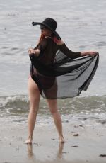 PHOEBE PRICE in Bikini on the Beach in Malibu 07/18/2018