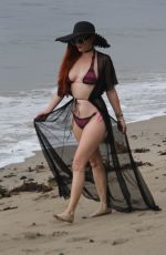 PHOEBE PRICE in Bikini on the Beach in Malibu 07/18/2018