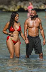 Pregnant MALIN ANDERSSON in Bikini and Tom Kemp on the Beach in Spain 07/23/2018