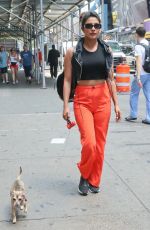 PRIYANKA CHOPRA Out with Her Dog in  New York 07/13/2018