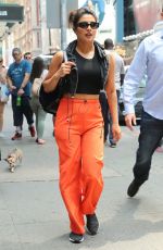 PRIYANKA CHOPRA Out with Her Dog in  New York 07/13/2018